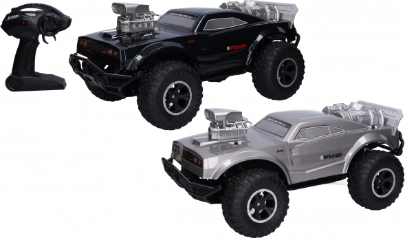 Kaugjuhitav RC-auto 48 cm