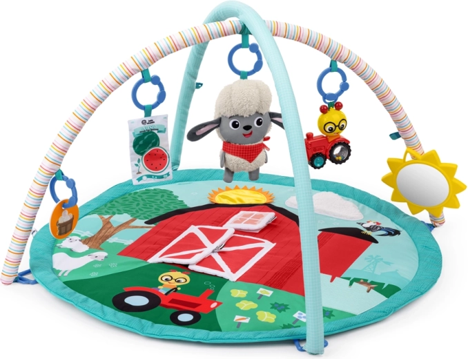 Baby Einstein Happy Harvest Touch & Feel mängutekk mängukaarega