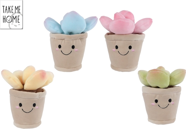 Plush succulent plant 13 cm