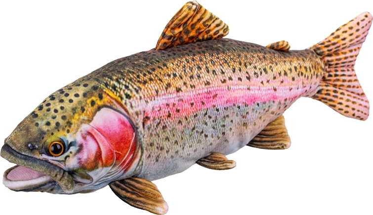 Pehme forell 38 cm