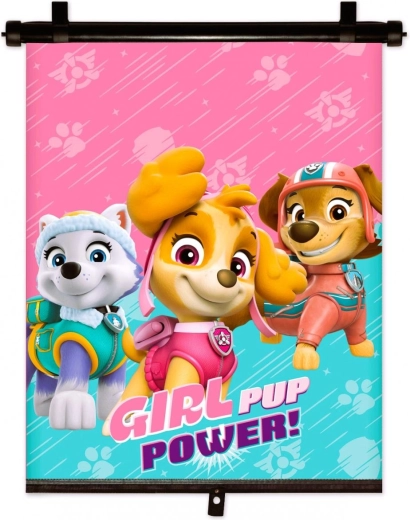 Car sun blind Paw Patrol