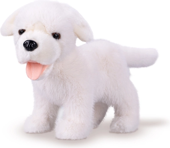 Plüüsvalge labrador 23 cm