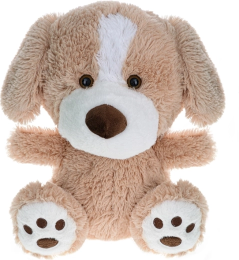 Pehme koer 35 cm – pehme kaisukas beebidele