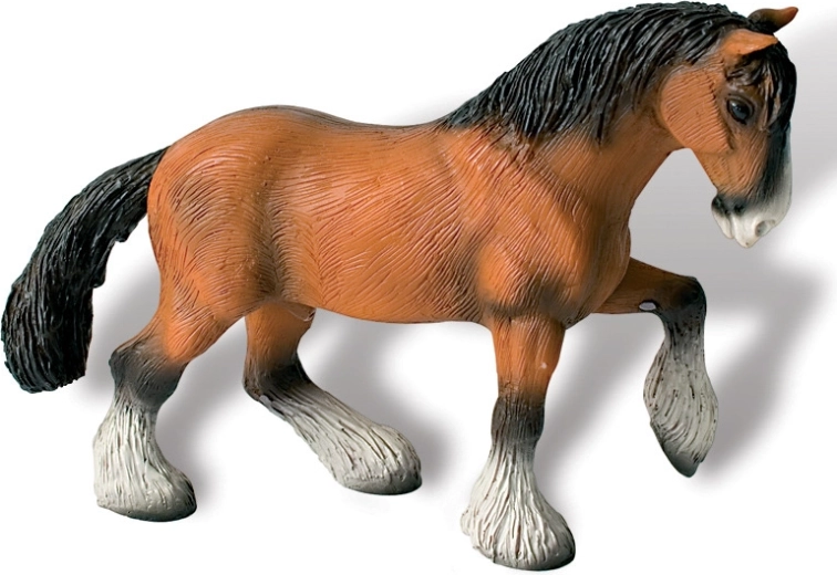 Shirsky gelding