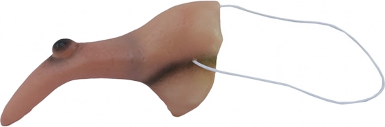 Nõianina tüüka ja kummipaelaga Halloweeni jaoks