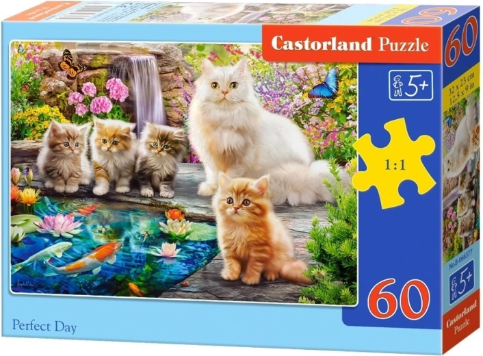 Castorland pusle Täiuslik päev 60 tükiga