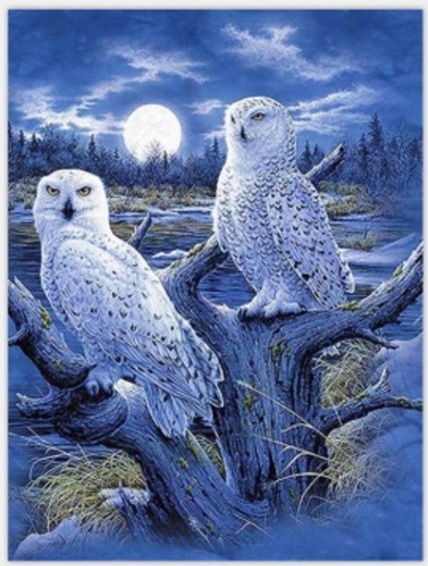 Norimpex numbrite järgi maalimine „Öökullid ja kuu” 40 × 50 cm