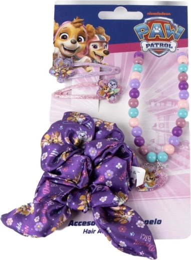 Paw Patrol hair accessories set