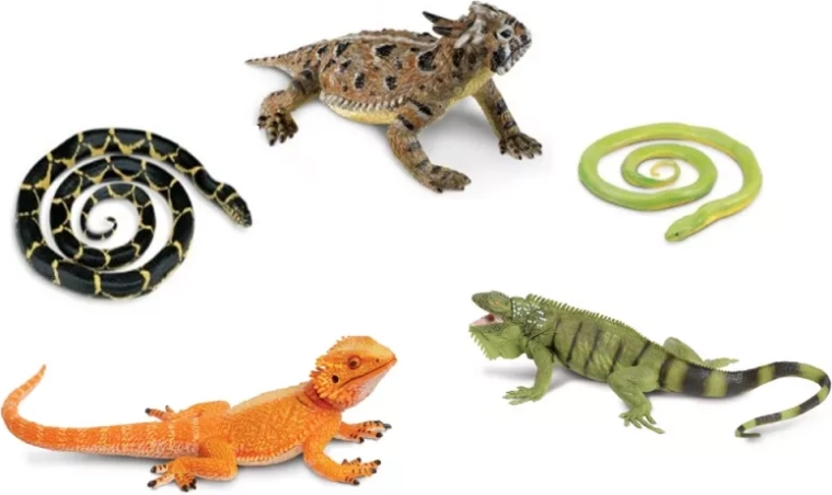 Safari Ltd. maod ja sisalikud – 5 figuuri komplekt