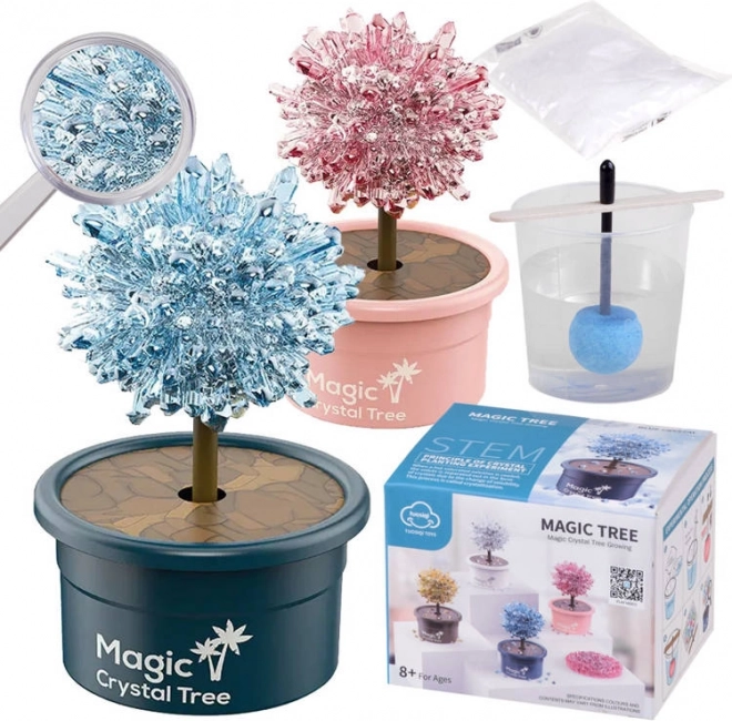 Teaduslik kristallikasvatuse komplekt – võluline kristall-õnnepuu