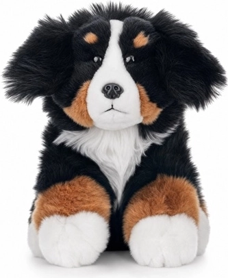 Berni alpi karjakoer 23 cm