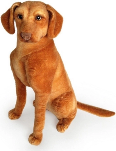 Pehme koer – saksa linnukoer 44 cm