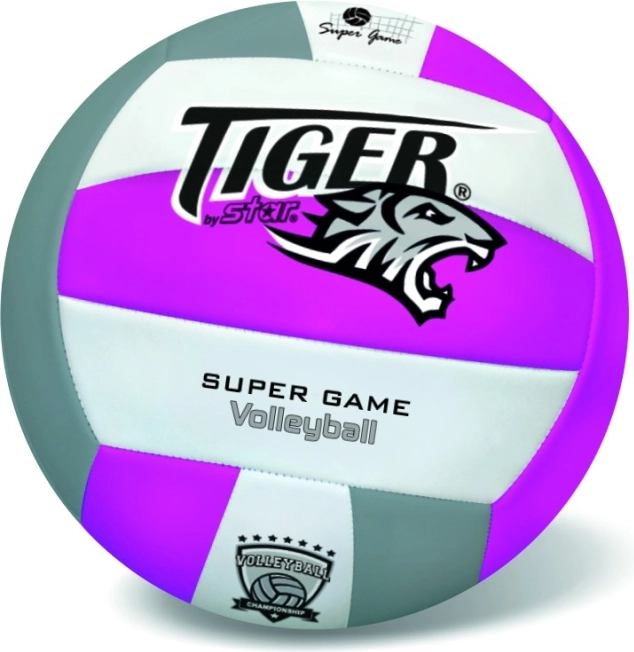 Nahast võrkpall Fluo Tiger, lilla, suurus 5
