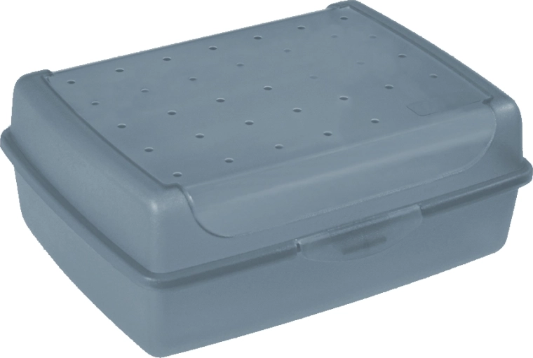 Luca Click Box MIDI plastic container with lid 1 l, blue