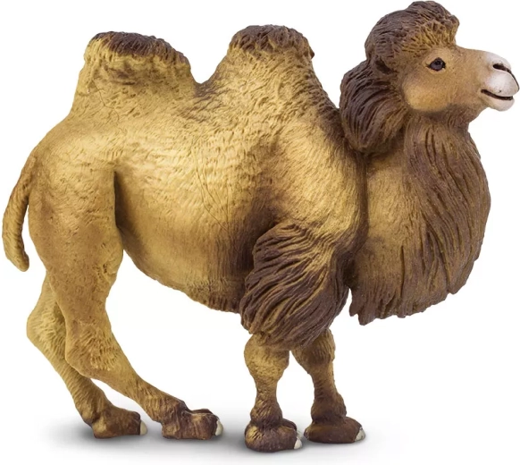 Safari Ltd. kaheküüruline kaamel – figuur