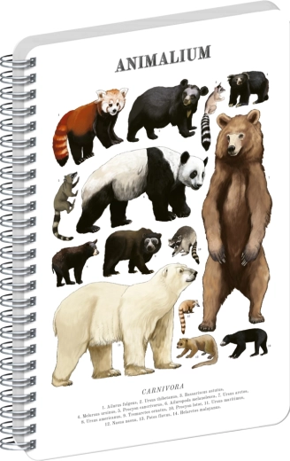 Notique spiraalköites märkmik Animalium – karulased kiskjad, tühi, A4