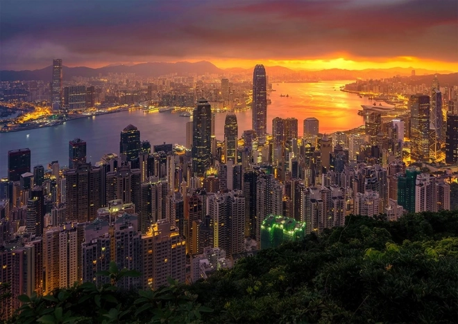 Puzzle Hongkong koidikul 1000 tükki