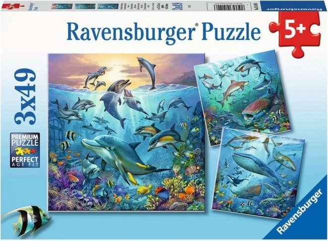 RAVENSBURGER Puzzle Ocean Animals 3x49 pieces