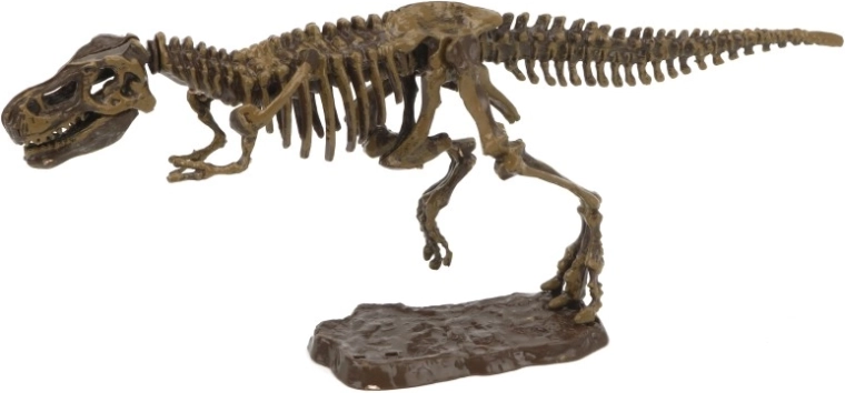 Arheoloogiline komplekt 3D türannosaurus