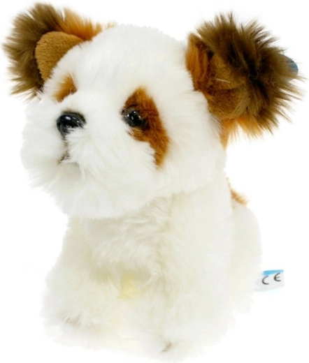 Plüüskoer Shih tzu 18 cm