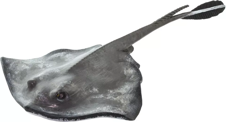 Safari Ltd. reimariin (stingray) figuur – 1 tk