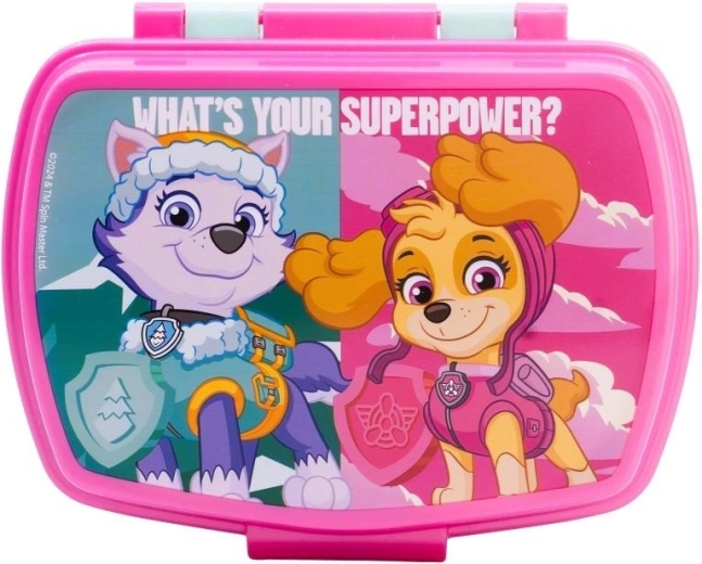 Paw Patroli suupistekarp