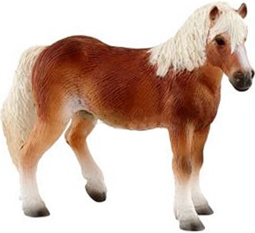 Bullylandi haflingeri mära figuur