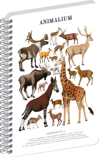 Notique spiraalplokk Animalium – sõralised, joonimata, A4