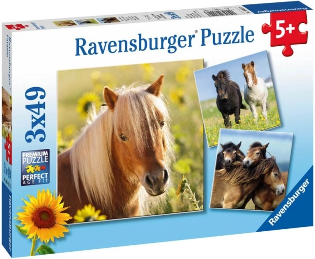 Ravensburgeri pusle armsad hobused 3×49 tükki