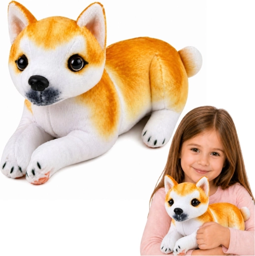 Pehme Shiba Inu koer 25 cm