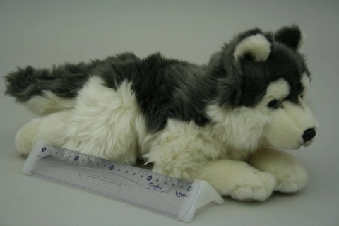 Pehme husky 35 cm