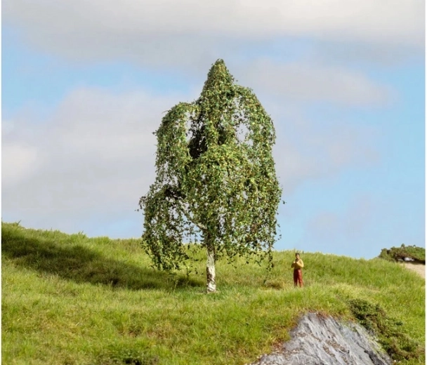 Noch hõbekask 12 cm (Master Trees)