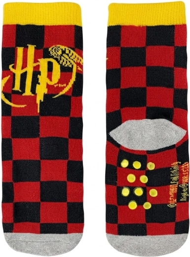 Terry-sokid Harry Potter