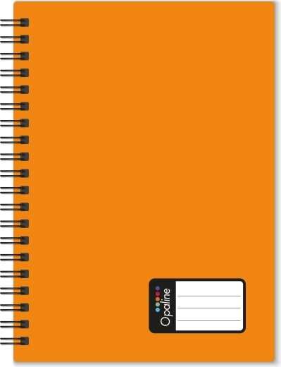 Opaline A5 Notebook with Double Spiral, Orange