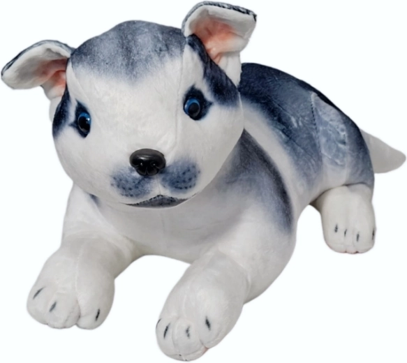 Plüüšist husky koer