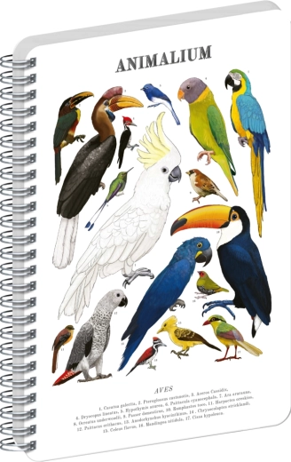 Notique spiraalplokk Animalium – linnud, joonimata, A4