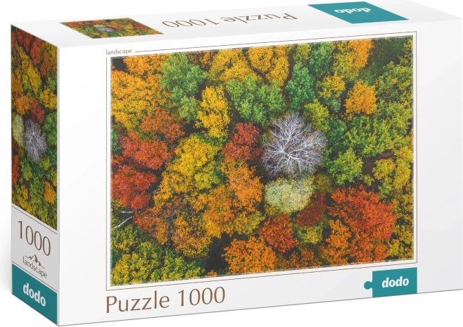 Puzzle DODO Dzembronya, Ukraina – 1000 tükki