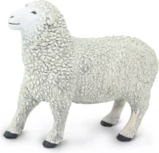 Kodulammas Safari Ltd. – 1 tk