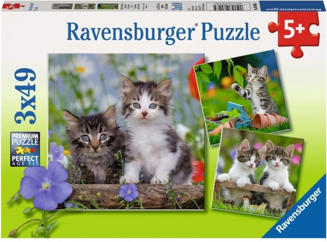 Ravensburgeri pusle kassipojad 3×49 tükki