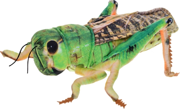 Pehme rohutirts 40 cm – roheline