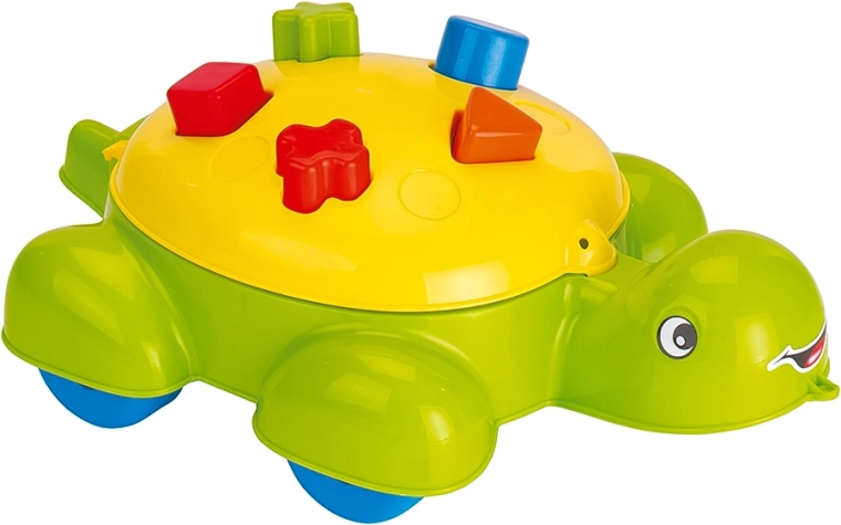 Turtle Shape Sorter for Children