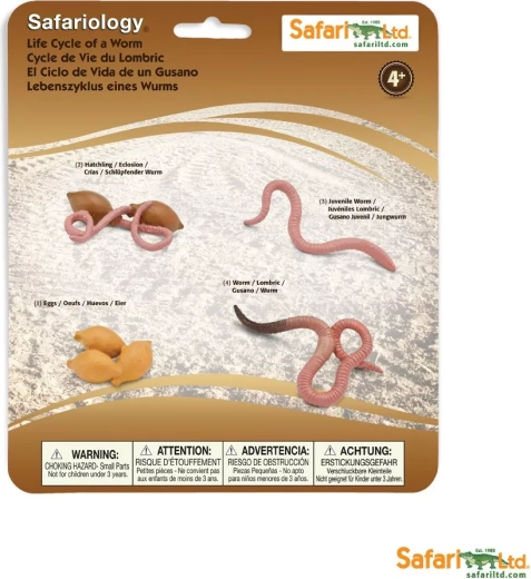 Safari Ltd. žiža elutsükkel