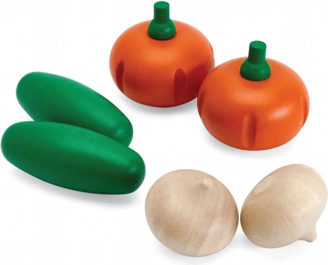 PlanToys puidust värske köögivilja komplekt E