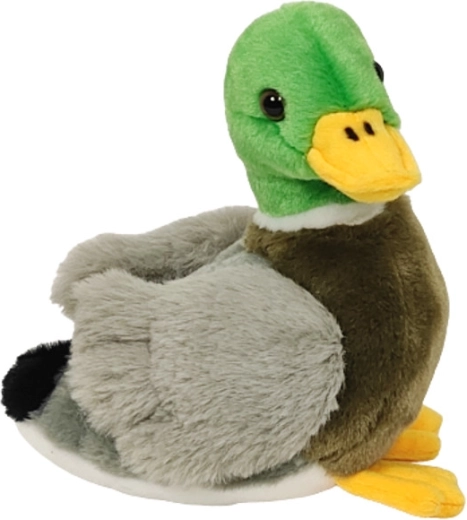 Pardike 18 cm