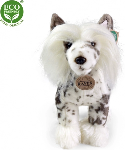 Rappa plüüskoer – hiina karvutu (Chinese Crested), seisev, 25 cm, ökoloogiline