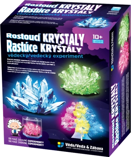 Kristallide kasvatamise komplekt lastele