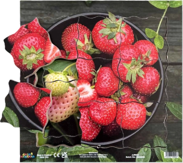 Just Jigsaws Strawberry and Its Vegetative Growth Stages – Layered Wooden Puzzle, 19 Pieces