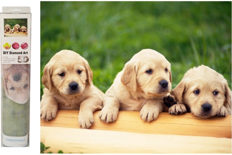 Teemantmosaiik Labradori kutsud - 1 tk