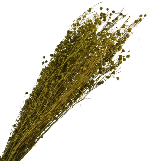 Kuivatatud dekoratiivne roheline rohi 40–70 cm