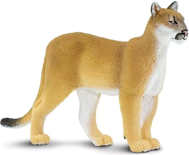 Florida puuma figuur Safari Ltd. – 1 tk